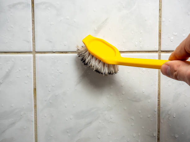 Professional Mold Removal in Waimanalo Beach, HI