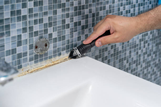 Best Residential Mold Removal  in Waimanalo Beach, HI